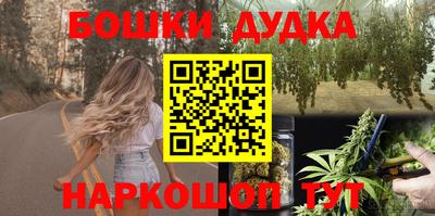 крисы Боровичи