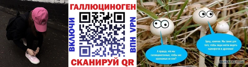 закладки  Петрозаводск  МЕГА вход  Галлюциногенные грибы Psilocybe 