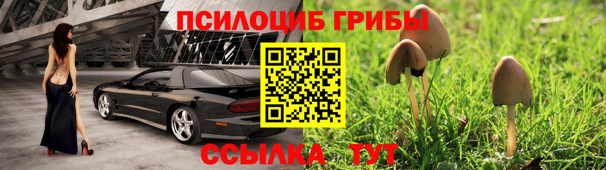 Галлюциногенные грибы прущие грибы Петрозаводск