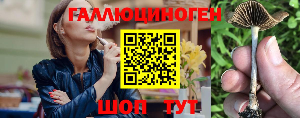закладки  Вход с VPN  Петрозаводск  Псилоцибиновые грибы Psilocybine cubensis 